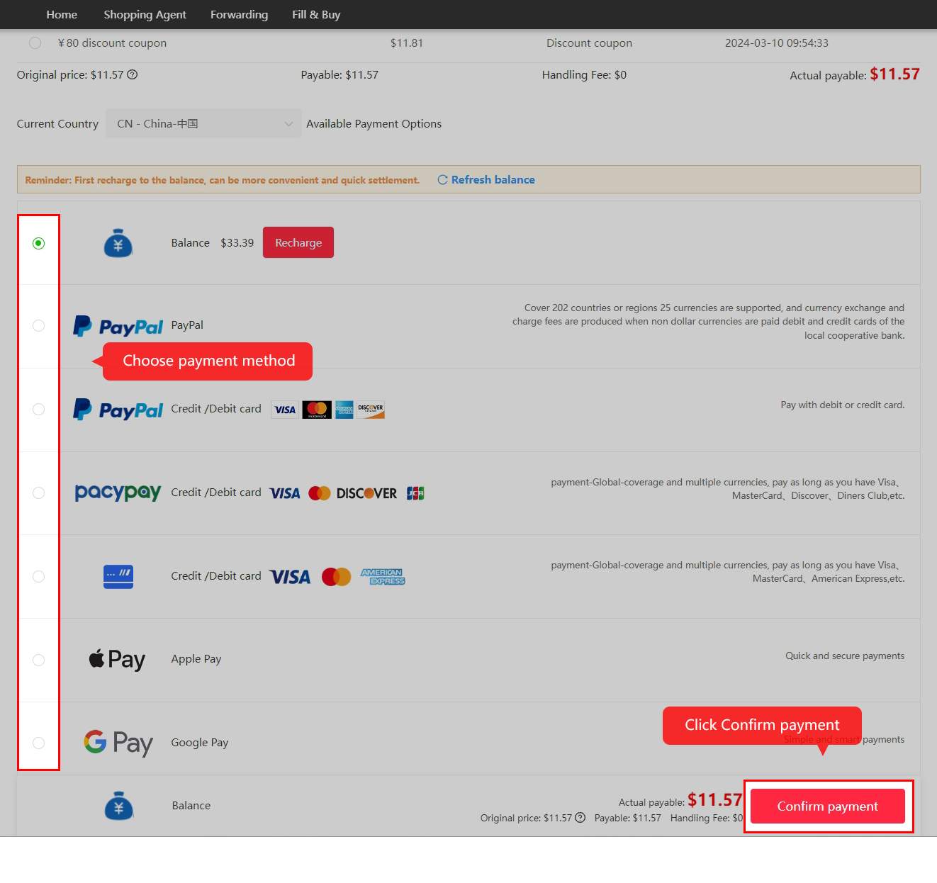 Review the parcel checkout and confirm the international payment.